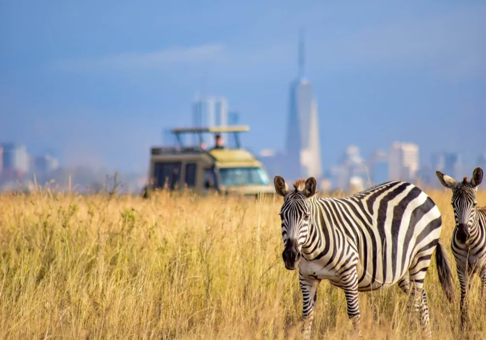 2 Days Nairobi National Pack Landcruiser Package